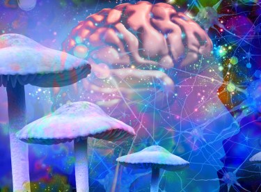 health insurance for psychedelics