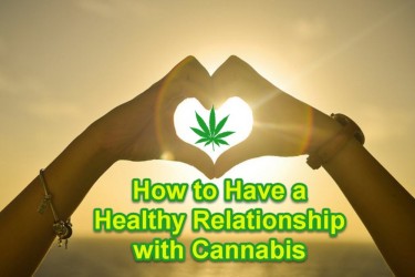 HEALTHY RELATIONSHIP WITH WEED