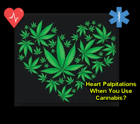Сердце и конопля можно курить семена марихуаны