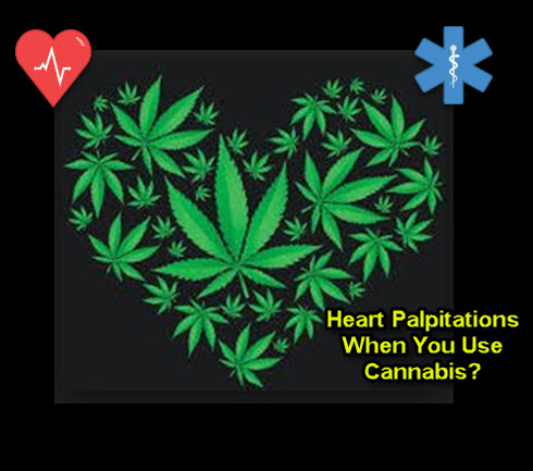 HEART PALPITATIONS WITH CANNABIS