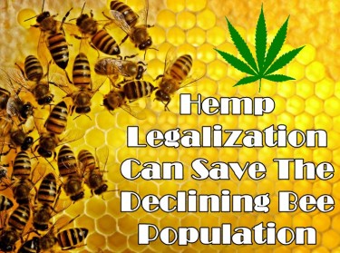 CAN LEGALIZING HEMP SAVE THE BEES