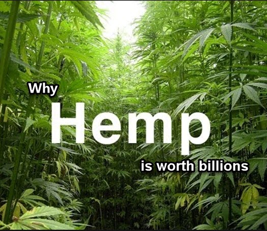 HEMP MARKET BILLIONS OF DOLLARS