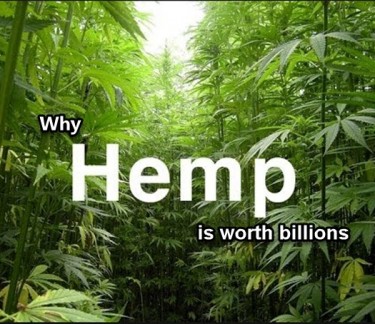 HEMP, WORTH BILLIONS