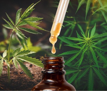 hemp oil side effects