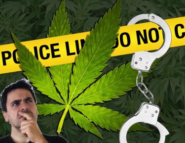 hemp or marijuana police