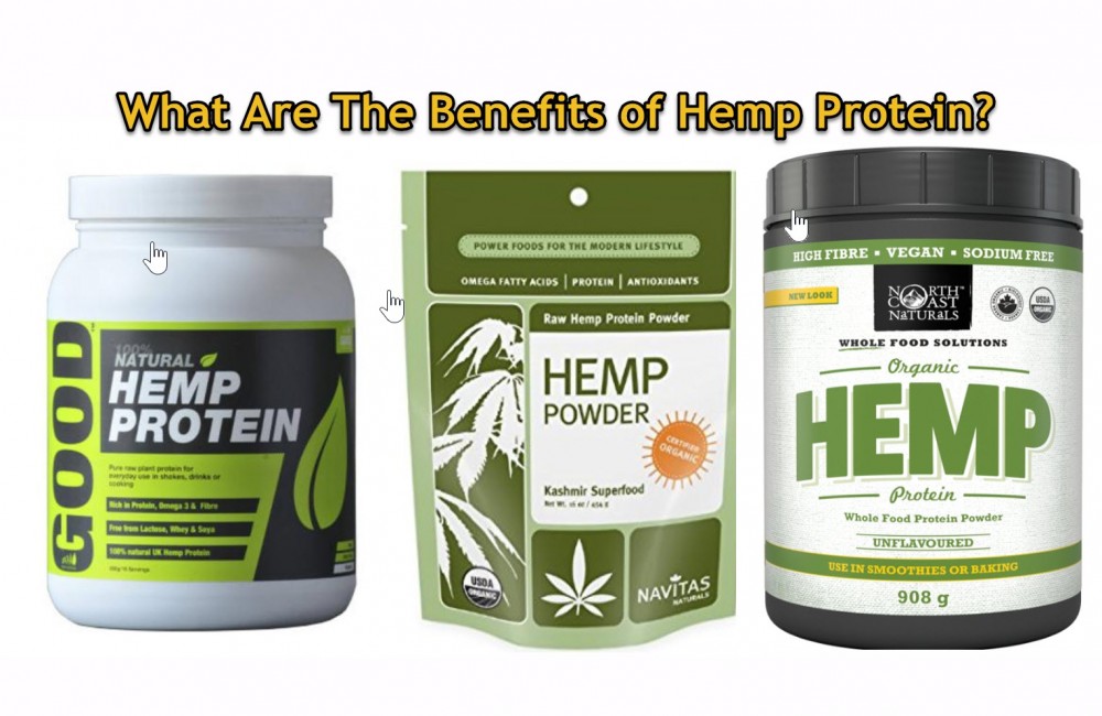 WHAT IS HEMP PROTIEN