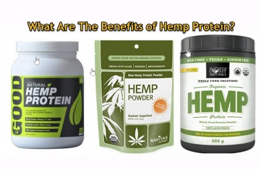 WHAT IS HEMP PROTEIN