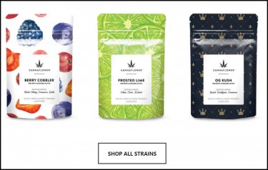 hemp strains cbd