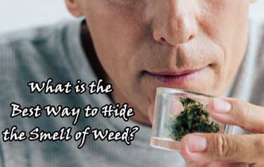 THE BEST WAY TO REMOVE THE SMELL OF WEED