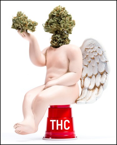 thc cannabis strains