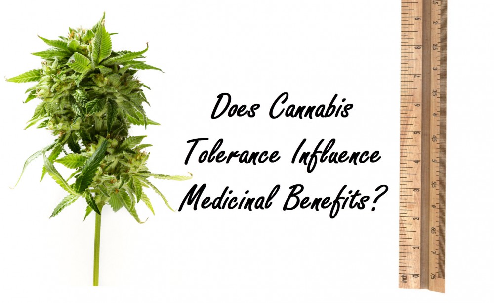 cannabis tolerance and medical benefits