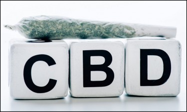 high cbd strains