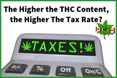 HIGHER TAXES ON HIGHER THC CANNABIS?