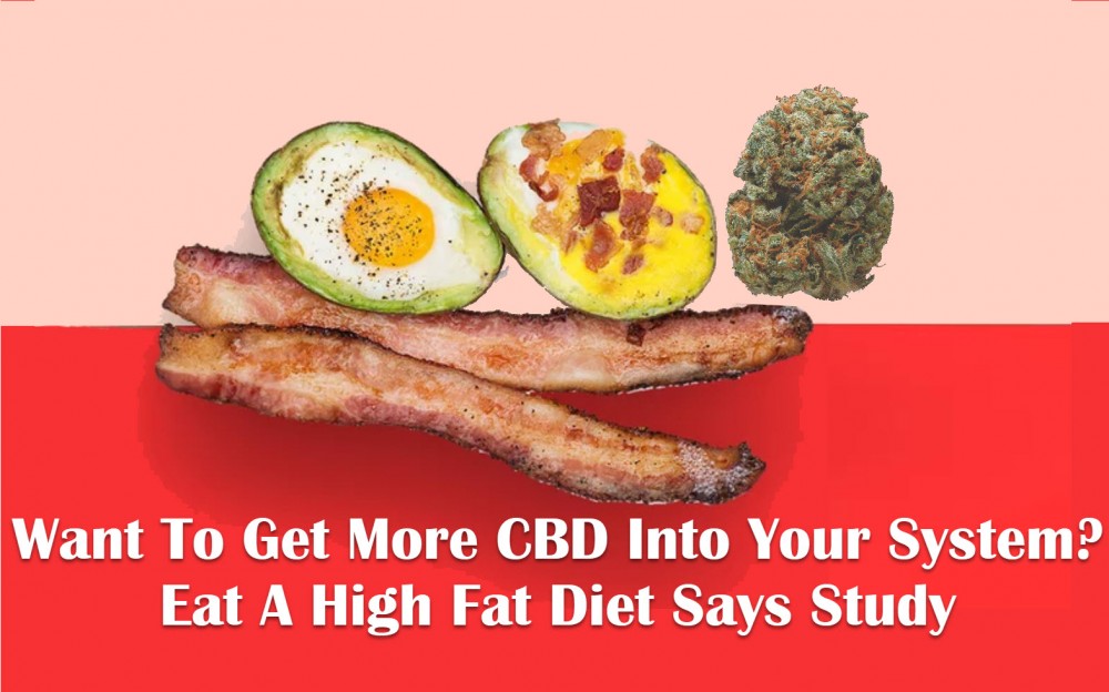 HIGH FAT DIETS AND CBD