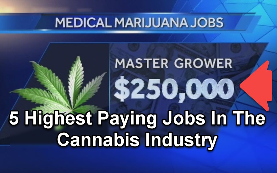 CANNABIS JOBS THAT PAY WELL