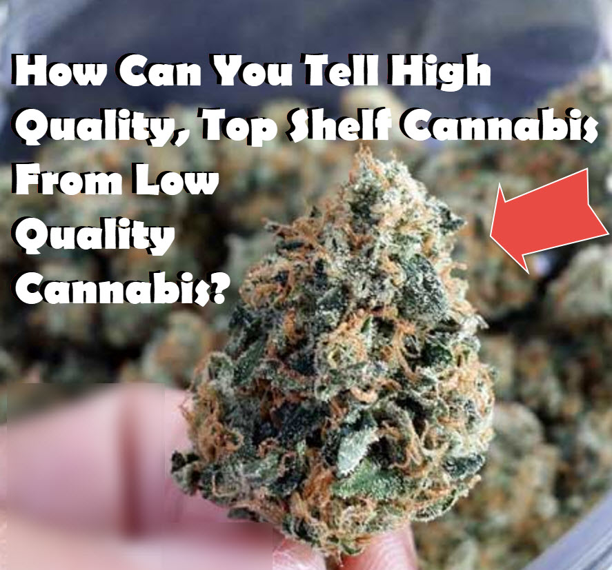 HOW TO TELL HIGH QUALITY CANNABIS FROM LOW QUALITY CANNABIS