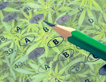 high sat scores legal weed states