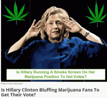 HILLARY CLINTON WEED VOTE
