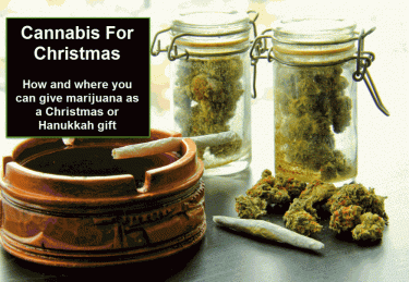 HOW TO GIVE WEED FOR A CHRISTMAS GIFT