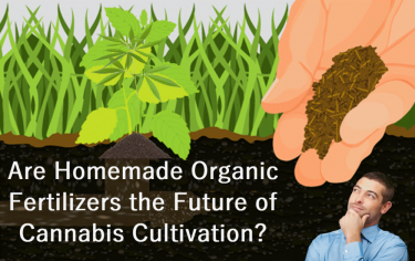 ORGANIC CANNABIS FERTILIZER