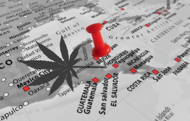 honduras cannabis legalization