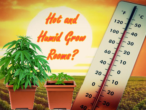 hot and humid grow rooms