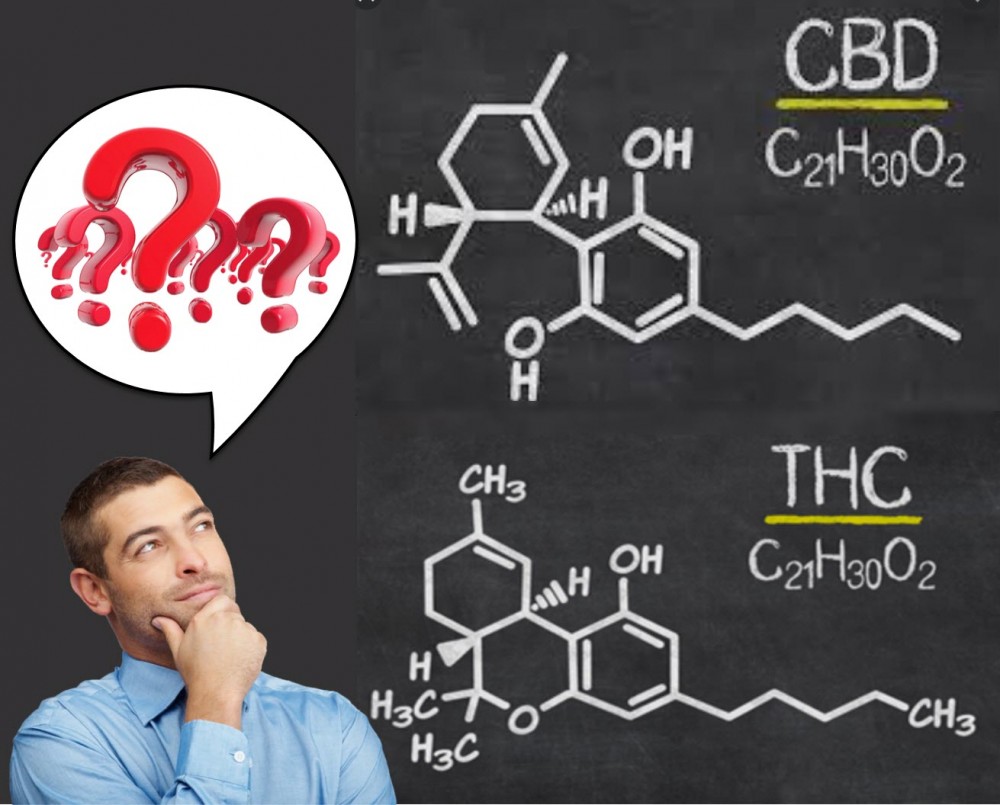 HOW IS CBD DIFFERENT FROM THC
