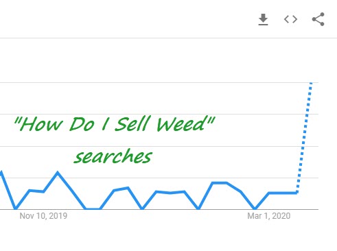 how do you sell weed searches