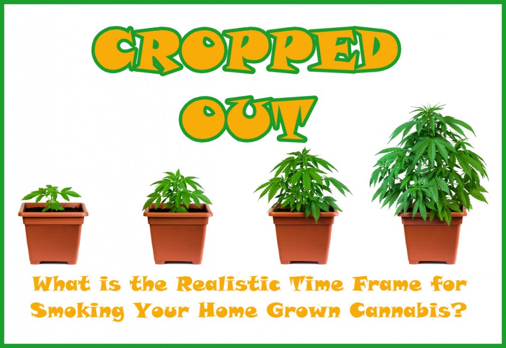 HOW LONG DOES IT TAKE TO GROW WEED IN YOUR HOUSE