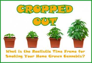 HOW LONG DOES IT TAKE TO GROW MARIJUANA AT HOME