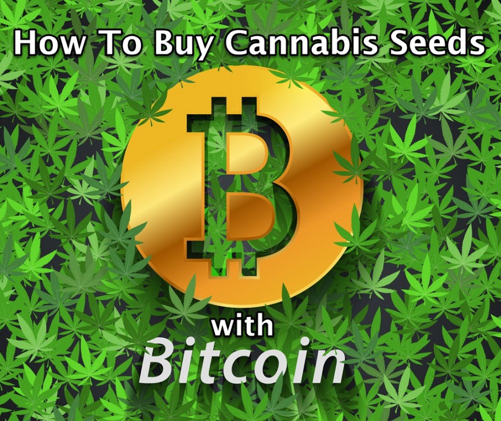 how and why you use bitcoins to buy weed