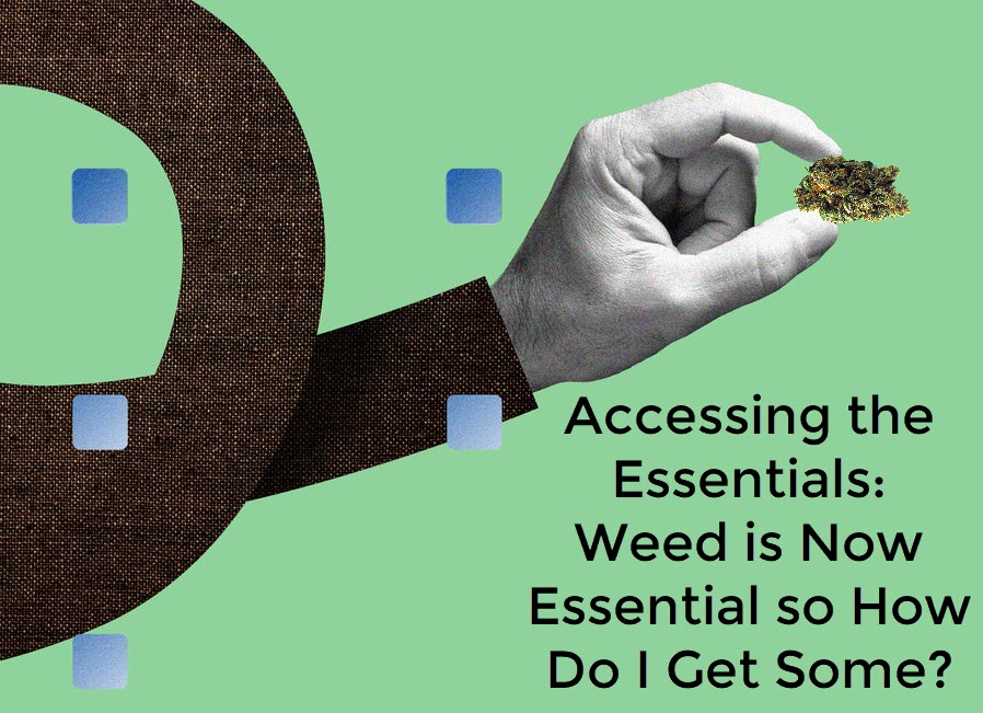 CANNABIS IS ESSENTIAL SO HOW DO YOU GET IT NOW