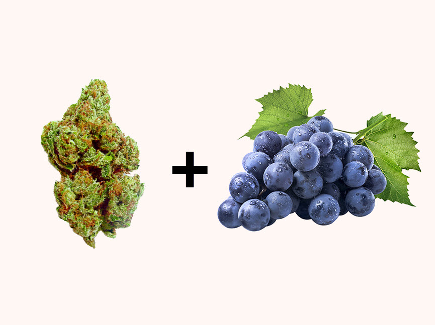 how to make cannabis infused wine