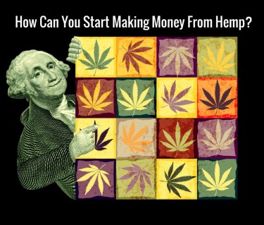 HOW TO MAKE MONEY FROM HEMP