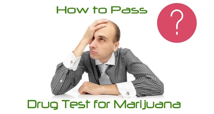 how to pass a drug test