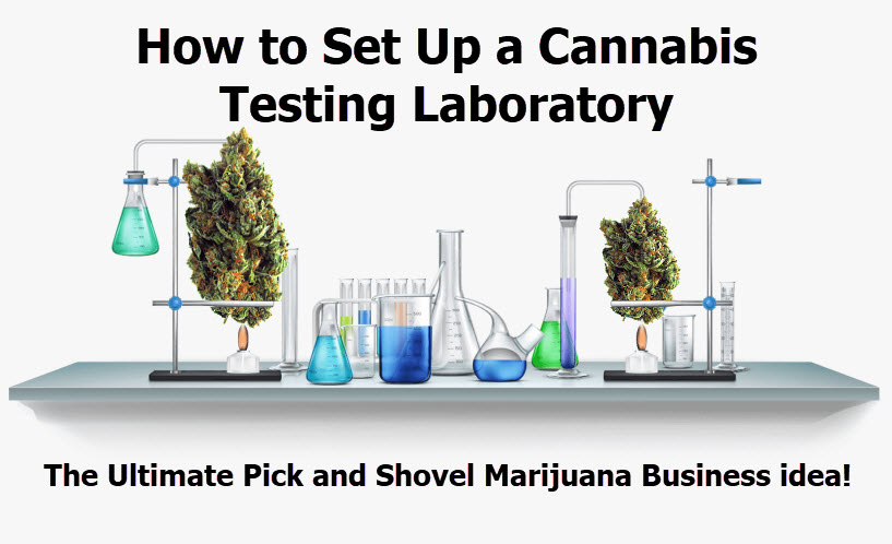 how to set up a marijuana testing lab