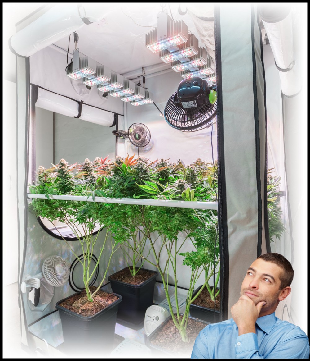 Best Heater For Grow Rooms at Jeff Norton blog