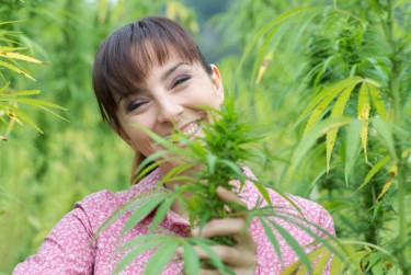 starting a cannabis farm