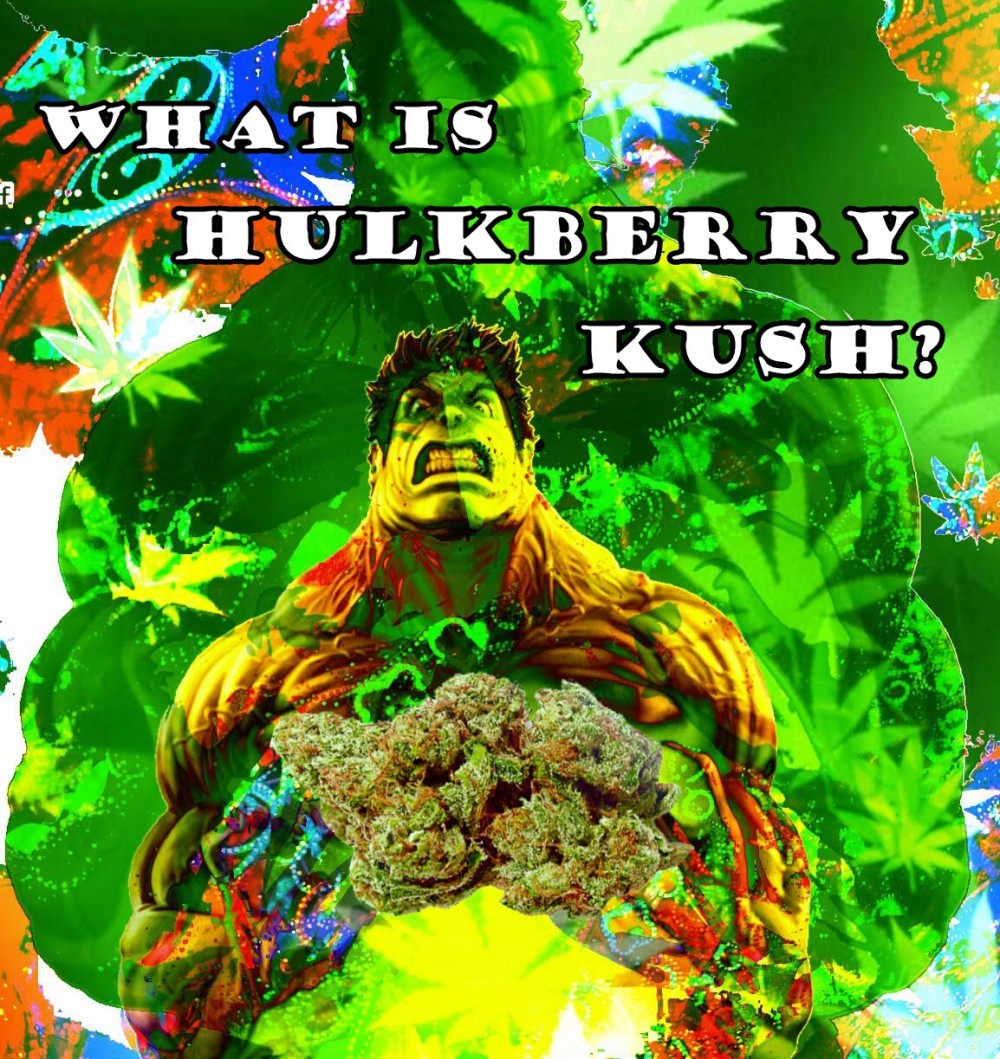 hulkberry kush marijuana strain