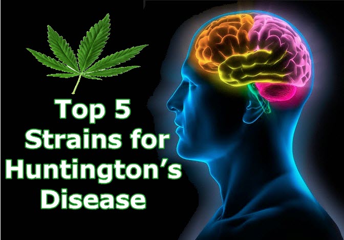 cannabis strains for Huntingtons