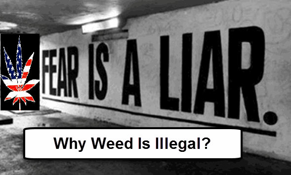 why is weed illegal