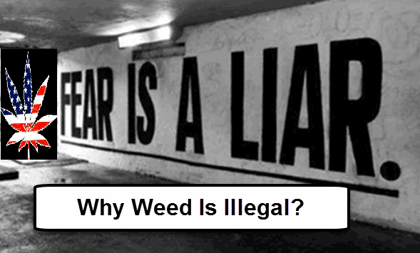 WHY ALCOHOL IS LEGAL AND WEED NOT