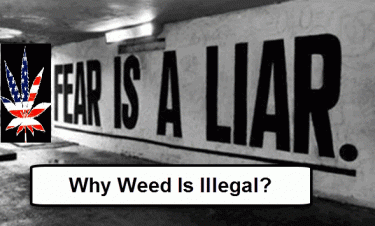 WHY IS POT ILLEGAL