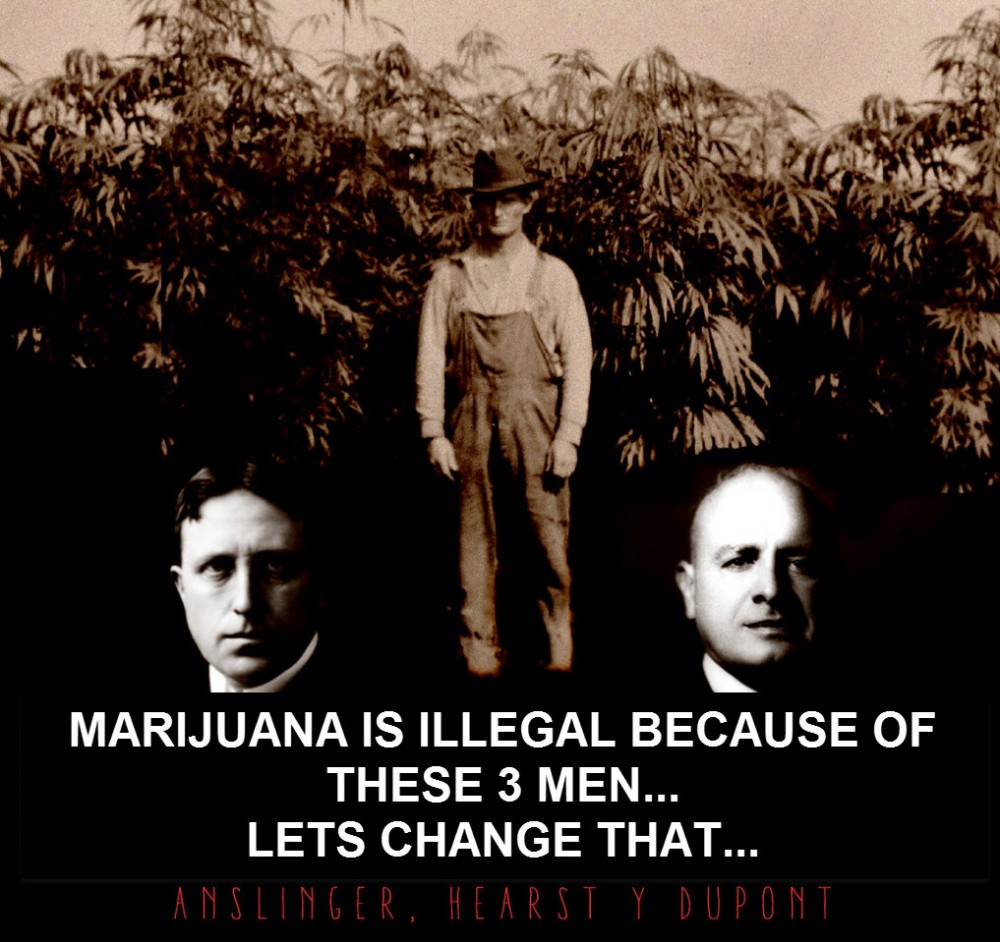 WHY IS CANNABIS ILLEGAL