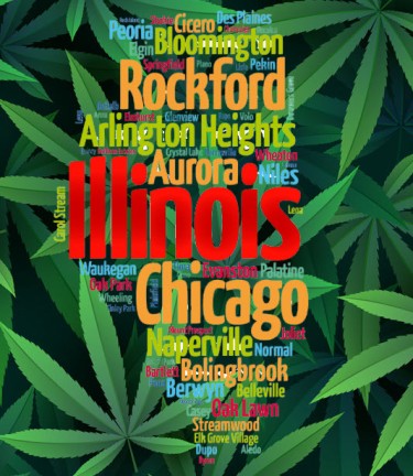 illinois cannabis sales records in 2024