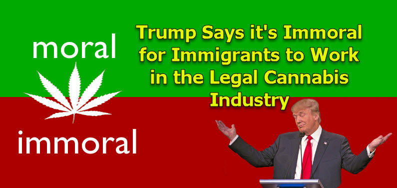 Trump on Immigrants and cannabis