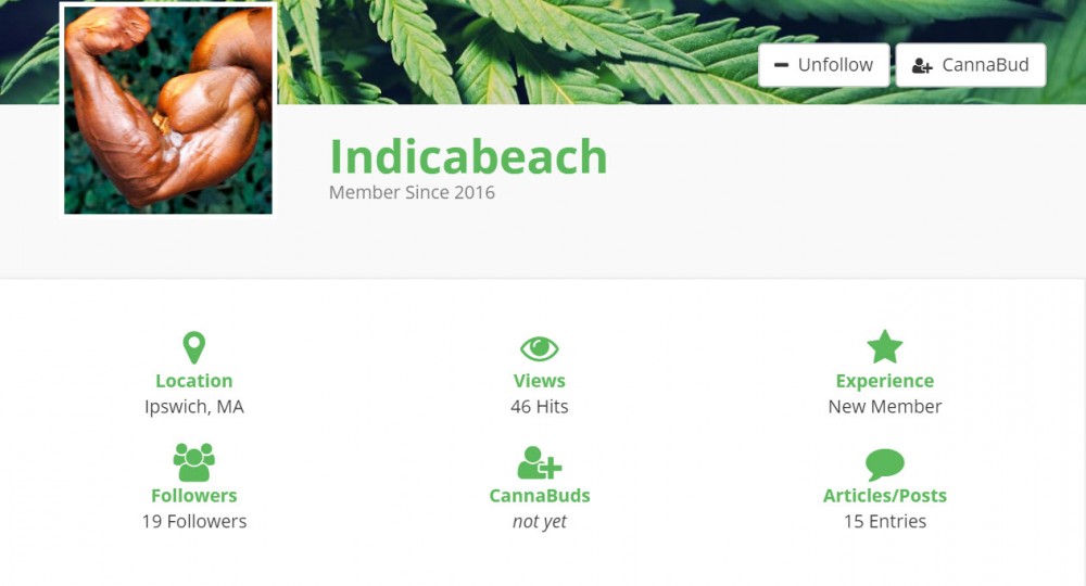 cannabis social user