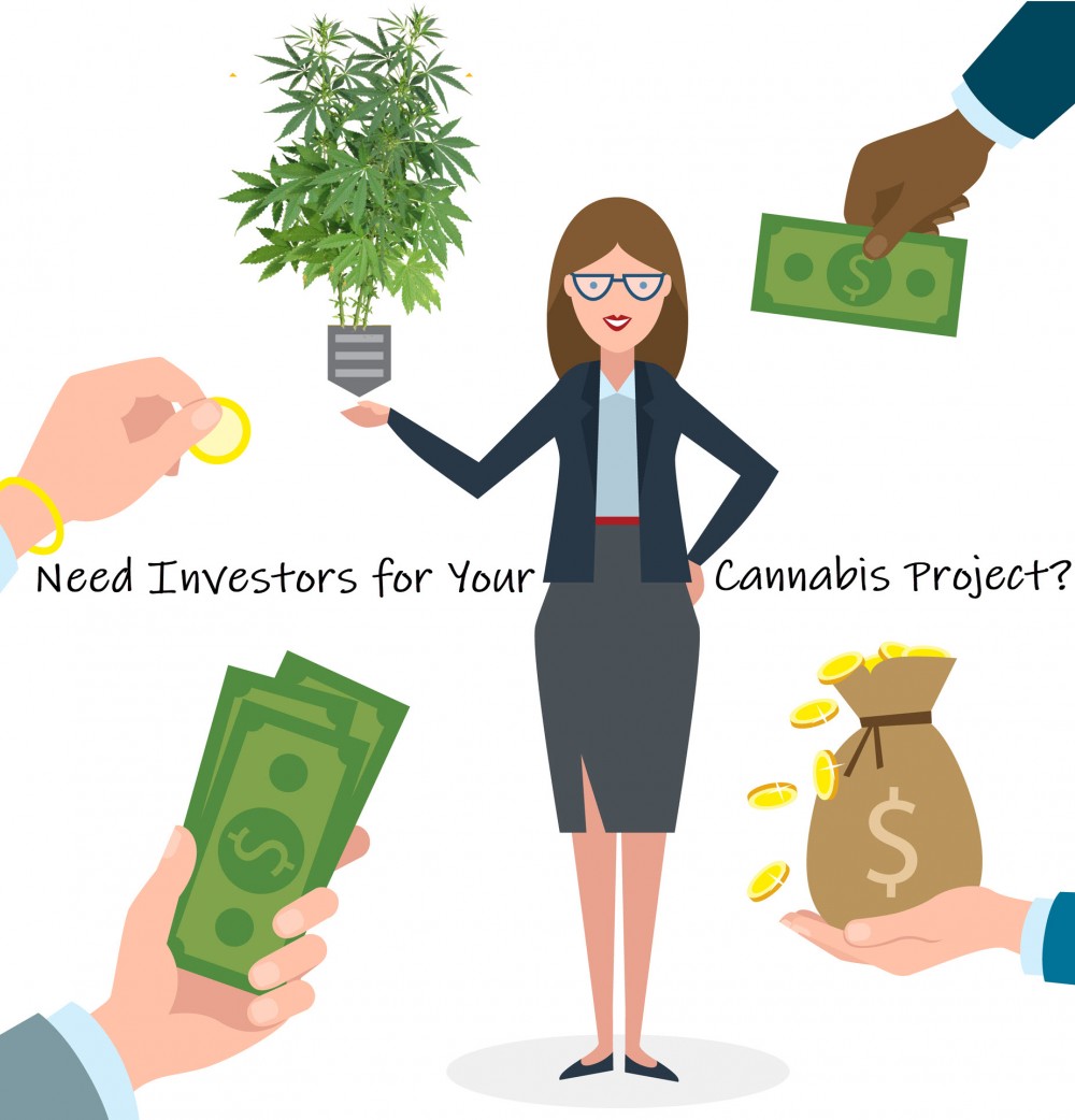 how to get marijuana investors