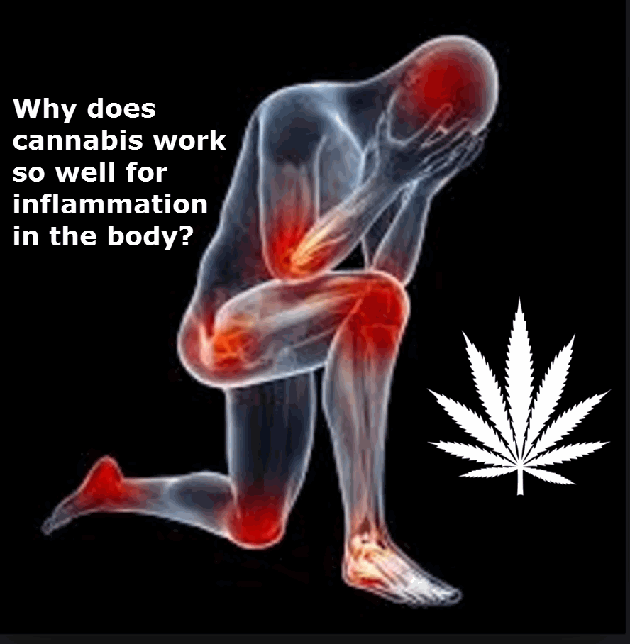 CANNABIS FOR INFLAMMATION