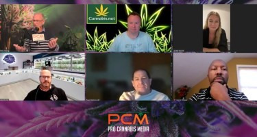 is the cannabis industry dead